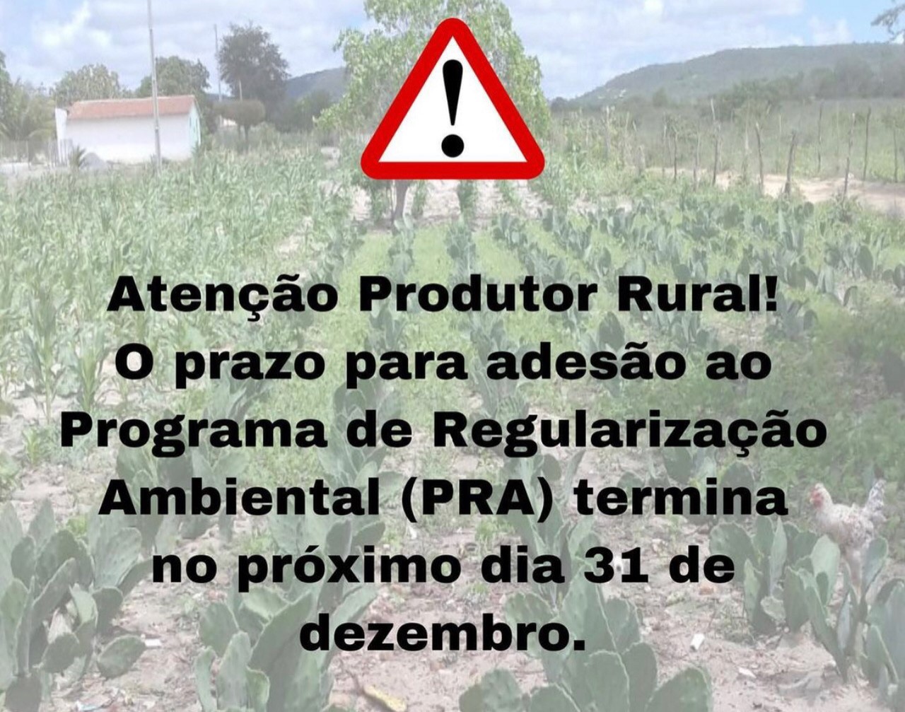 Produtores rurais têm até o dia 31 para regularização ambiental RN News